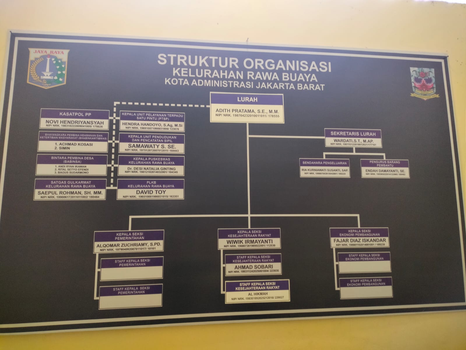 Bagan Struktur Organisasi Kelurahan Rawa Buaya